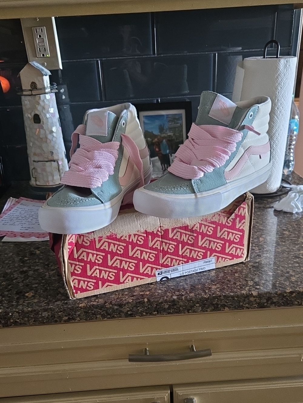 Vans High-Top Skate Shoes